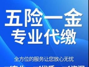 社保代繳補繳、公積金咨詢、個稅代辦與檔案辦理全方位指南
